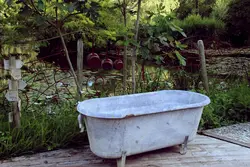 Photo with a bath in nature
