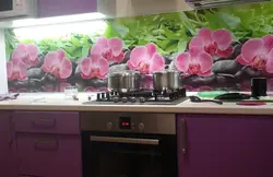 Пешдоман барои орхидеяҳои ошхона акс