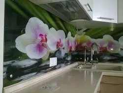 Mətbəx orkide üçün önlük fotoşəkili