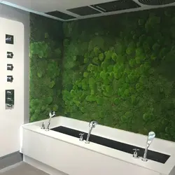 Hamam fotoşəkilində sabitləşdirilmiş mamır