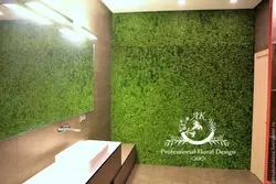 Ванна бөлмесінің фотосуретіндегі тұрақтандырылған мүк
