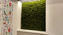 Stabilized moss in the bathroom photo