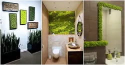 Hamam fotoşəkilində sabitləşdirilmiş mamır