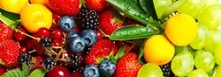 Фартук Для Кухни Фрукты Фото