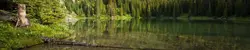Photo For Kitchen Nature Photo