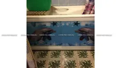 Bathroom Panels Dolphins Photo