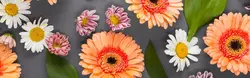 Mətbəx divar kağızı gerbera fotoşəkili
