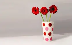 Kitchen wallpaper gerbera photo