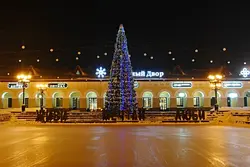 Новый год гостиный двор фото