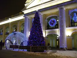 Новы Год Гасціны Двор Фота