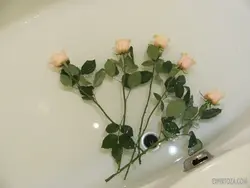 Белые розы в ванной фото