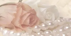 Садбарги сафед дар акси ҳаммом