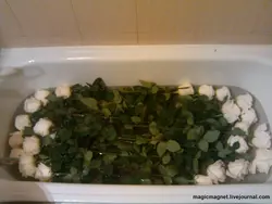 Жуынатын бөлмедегі ақ раушан гүлдері