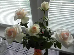 Розы на столе на кухне фото