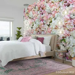 Обои Бо Peonies Барои Акс Хоб