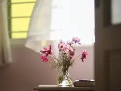 Bir Vaza Fotoşəkildə Mətbəxdə Çiçəklər
