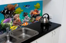 Ас үй алжапқышы үшін өздігінен жабысатын пленка су өткізбейтін фотосурет