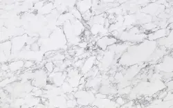 Scythian Italian Marble Countertop Photo In The Kitchen