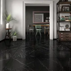 Black tiles on the kitchen floor photo
