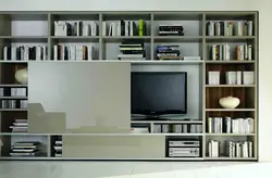 Стенки с книжными шкафами в гостиную фото