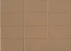 Hammom fotosuratida bej plitkalar uchun grout