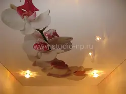 Отзывы На Натяжной Потолок На Кухне Фото