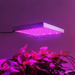 Phytolamp in the living room interior