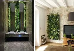 Phytowall дар дохили ҳуҷраи зиндагӣ