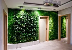 Phytowall дар дохили ҳуҷраи зиндагӣ
