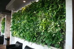 Фитостена В Интерьере Гостиной