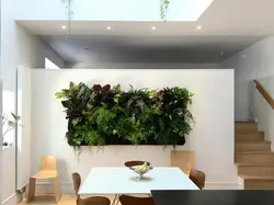 Фитостена в интерьере гостиной