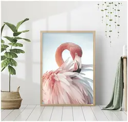 Vanna Otağının Içərisində Flaminqo