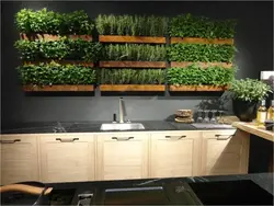 Зелень в интерьере кухни