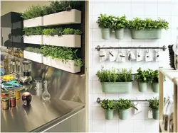 Greenery in the kitchen interior