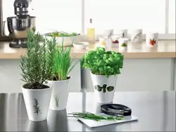 Кабудизоркунӣ дар дохили ошхона