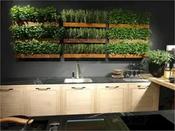 Зелень в интерьере кухни