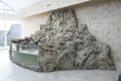 Rock in the living room interior