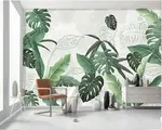 Monstera дар дохили ҳуҷраи зиндагӣ
