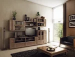 Living room artis in the interior