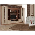 Venice living room in the interior