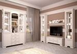 Venice living room in the interior