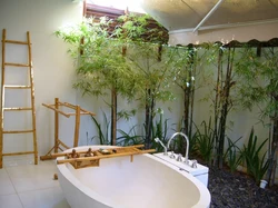 Bamboo in the bathroom interior