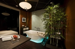 Bamboo in the bathroom interior