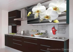 Kitchen interior with orchid