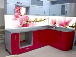 Kitchen interior with orchid