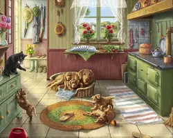Муаммоҳо дар дохили ошхона