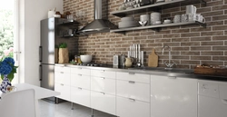Clinker tiles in the kitchen interior