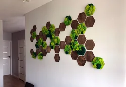 Honeycomb shelves in the hallway interior