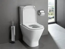 Floor-standing toilet in the bathroom interior