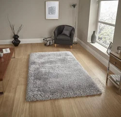 Gray carpet in the bedroom interior